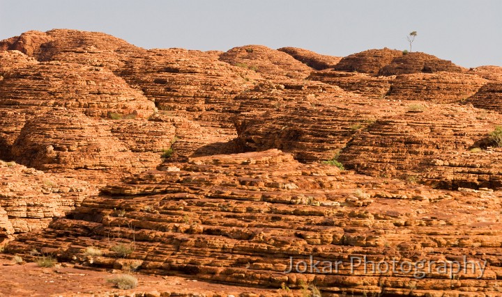 Kings Canyon_20070919_106.jpg